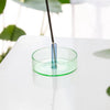 Incense Holder Green | Block Design | Shop Fodder