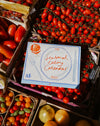 2027 Seasonal Eating Calendar by Mainly Breakfast - hand-illustrated seasonal produce - Fodder