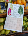 2027 Seasonal Eating Calendar by Mainly Breakfast - hand-illustrated seasonal produce - Fodder