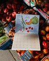 2027 Seasonal Eating Calendar by Mainly Breakfast - hand-illustrated seasonal produce - Fodder