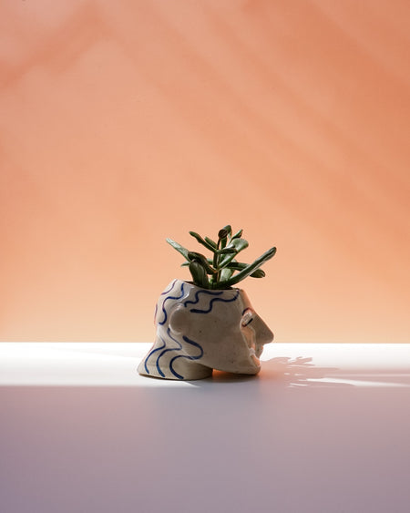 Small potted plant in a decorative pot on a light surface with a soft peach-colored background. Sophie Alda | Handmade Ceramics | Shop Fodder