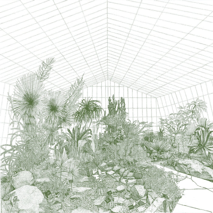 Greenhouse Cacti