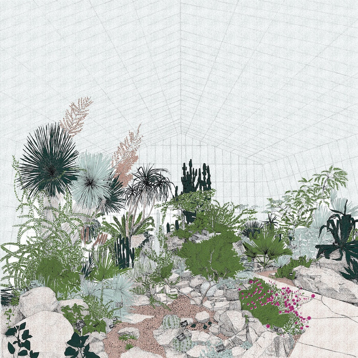 Hot Mass of Cacti