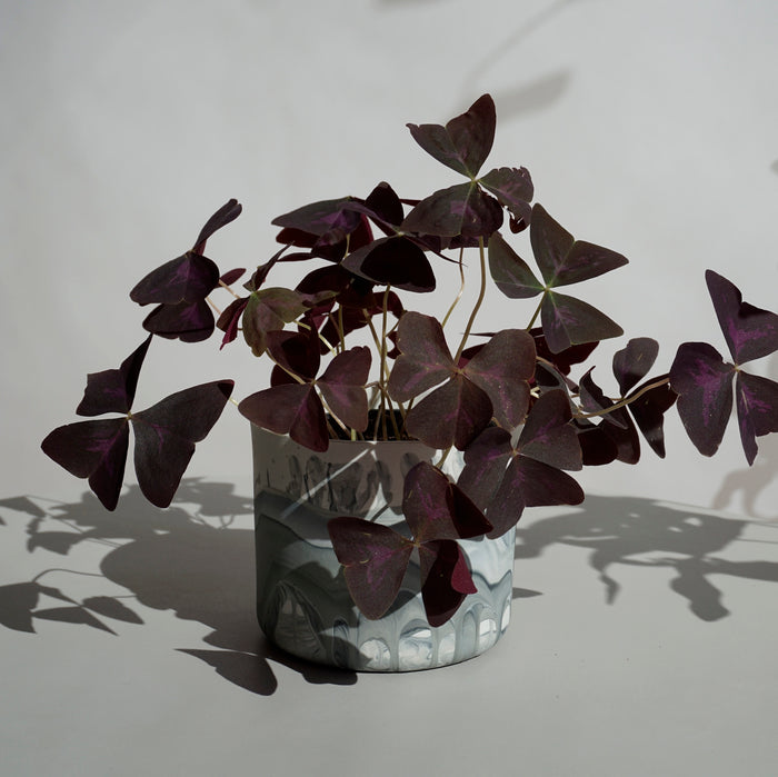 Vases & planters