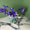 three bud vases, each with an iris in on a marble table with a green background. 