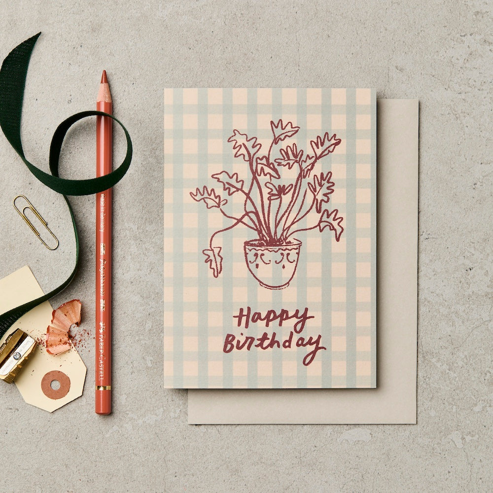 Gingham Plant Birthday