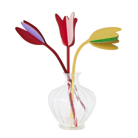 Perfect, Sustainable everlasting Flowers | Tulip Love| Studio Roof | Shop Fodder  